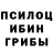 Галлюциногенные грибы прущие грибы Daniel Warnock
