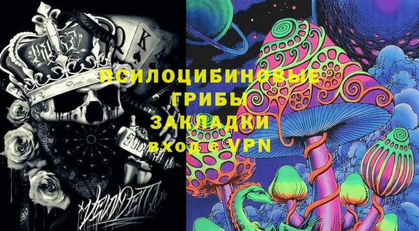 крисы Михайловск