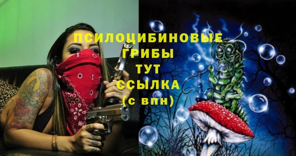 винт Михайлов