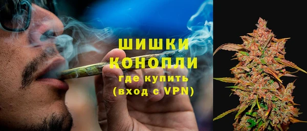 крисы Михайловск