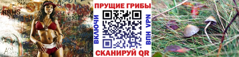 Галлюциногенные грибы мухоморы  Купить  Лыткарино 